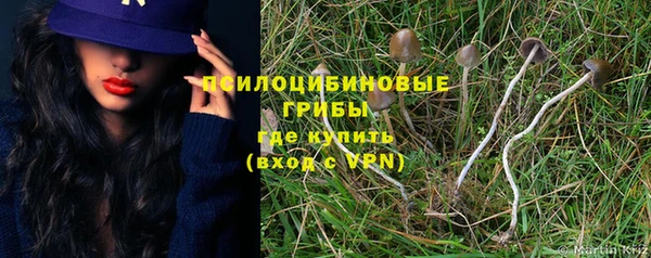 apvp Магас