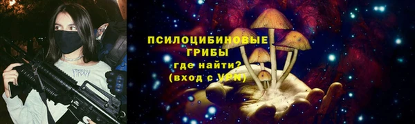 apvp Магас