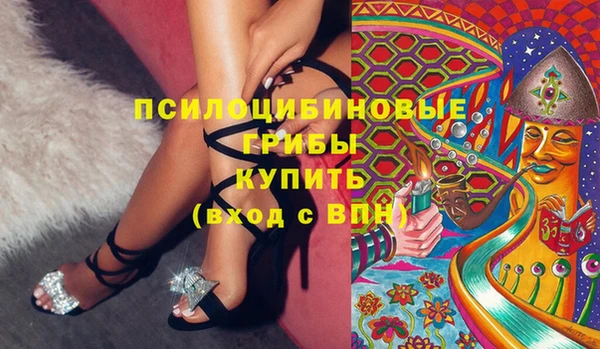 хмурый Лиски