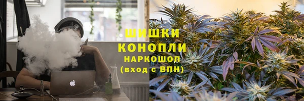 трава Магадан