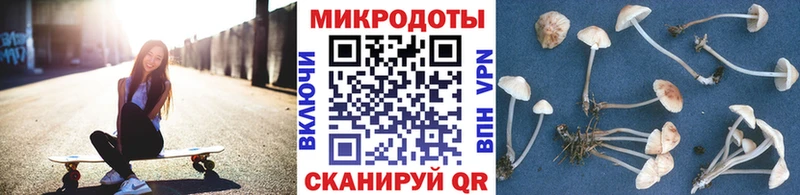 Купить  Бодайбо  Псилоцибиновые грибы Cubensis 